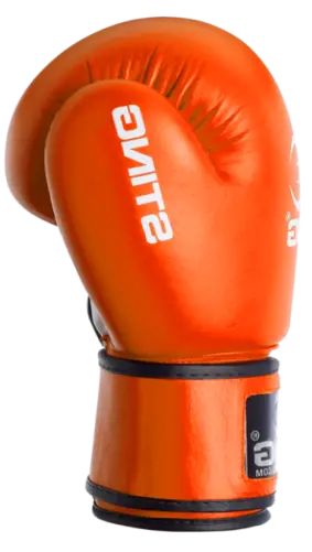 gant boxe niko coaching