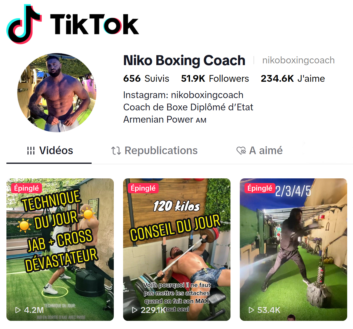 Tiktok Niko Boxing Coach